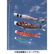 雅 F#400 [鯉のぼり 庭用 雲龍吹流し付 撥水加工 ガーデンセット]