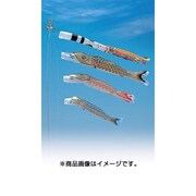 昴ゴールド F#300 [鯉のぼり 庭用 五色吹流し付 ガーデンセット]