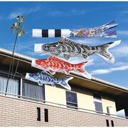 はねぼう #200 [鯉のぼり ベランダ用 はねぼう昇竜吹流し付 ベランダ手すり化粧箱セット]