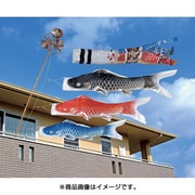 積美画スーパースターゴールド SS#15H [鯉のぼり ベランダ用 雲龍吹流し付 撥水加工 ベランダ手すり発泡箱セット]