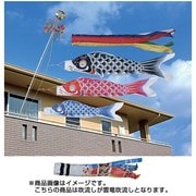 昴 #15 [鯉のぼり ベランダ用 雲龍吹流し付 ベランダ手すり化粧箱セット]