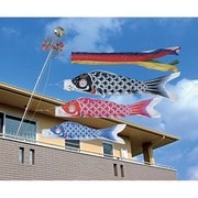 昴 #50 [鯉のぼり ベランダ用 五色吹流し付 ベランダ手すり化粧箱セット]