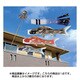 積美画 ちりめん金彩 1m 赤 [鯉のぼり 単品 撥水加工]