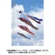 かぜいろ 6m 黒 [鯉のぼり 単品 撥水加工]