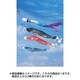 スーパースターゴールド 3m 赤 [鯉のぼり 単品 撥水加工]