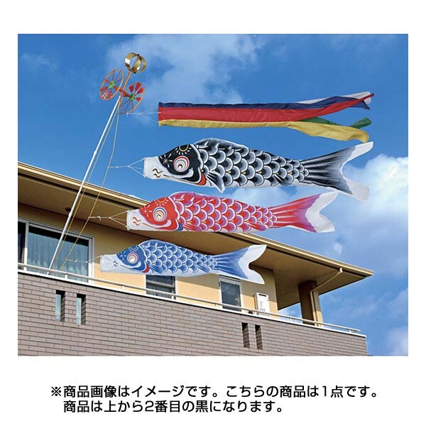 昴 1.2m 黒 [鯉のぼり 単品]