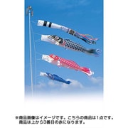 昴 2.5m 赤 [鯉のぼり 単品]