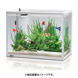 ヨドバシ.com - GEX ジェックス サイレントフィット300 [水槽セット 