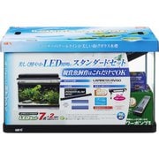 ラピレスRV60DT LEDセット