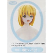 顔型 愛（え～）タイプ [フィギュア用顔型 Aタイプ]