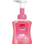 泡ミューズ 泡モイスト 本体 250mL