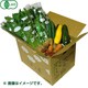 有機農法で作った野菜セット(小松菜、ルッコラなど旬の野菜) [茨城県産 有機野菜8,480円セット]