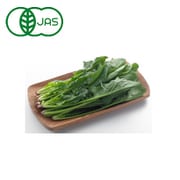 有機農法で作ったほうれん草と旬の野菜の詰め合わせ [茨城県産 有機ほうれん草セット]
