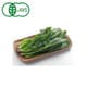 有機農法で作ったほうれん草と旬の野菜の詰め合わせ 5回分回数券 [茨城県産 有機ほうれん草セット]