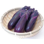 有機農法で作ったなすと旬の野菜の詰め合わせ（4.7kg） [茨城県産 有機なす3,980円セット]