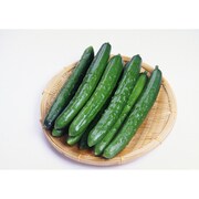 有機農法で作ったきゅうりの詰め合わせ（4.7kg） 5回分回数券 [茨城県産 有機きゅうり3,980円セット]