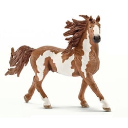 Amazon.co.jp: シュライヒ ファームワールド ピント馬 (オス