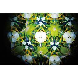 ヨドバシ.com - 佐賀ダンボール商会 源右衛門窯 染錦撫子絵 十二角型