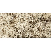 00200166 L166 ライケン（未着色） [Nゲージ レイアウト用品]