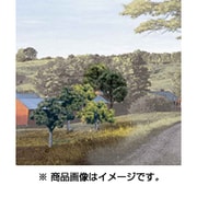00201571 TR1571 完成樹木パック広葉樹 中 [Nゲージ レイアウト用品]