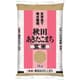 玄米 秋田県産 あきたこまち 5kg 令和6年産