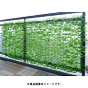 LLH-12C LG [リーフラティス 約100×200cm ハードネットタイプ]