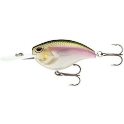 ヨドバシ Com ラパラ Rapala Aft07 686 ストーム アラシ ラトリン フラット 7 5 5cm 12 5g ワカサギ 通販 全品無料配達