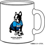 YSJ15104-57-F [横浜FC パンディアーニ マグ]