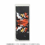 NW-A16/A17 シリーズ用 ハードケース タイガー J-WA10-08