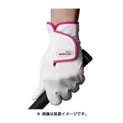DH-153L ドライハンド [レディース ホワイト 20cm]
