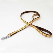 アーガイルリード M オレンジ