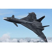 AA6015 [1/48スケール Mig-31 Firefox]