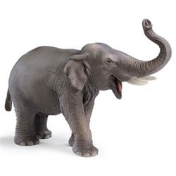 ヨドバシ.com - シュライヒ Schleich 14144 インド象（オス） [WILD