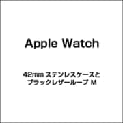 Apple Watch 42mmステンレスケースとブラックレザーループ M