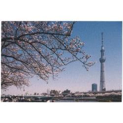 ファブリックカード J-35
