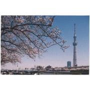 ファブリックカード J-35