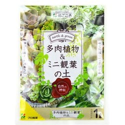 培養土 多肉植物&ミニ観葉の土 1L