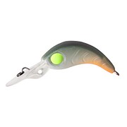 クララ MRF CLO クリアーオリーブ