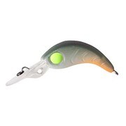 クララ MRSP CLO クリアーオリーブ