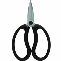 PRUMAN 大久保鋏 170mm OK-170