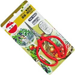 果樹・菜園用鋏 越路 ステンレス芽摘・摘粒鋏 158mm K-13
