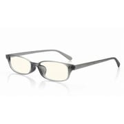 老眼鏡 READING GLASSES+1.50 グレー