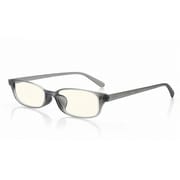 老眼鏡 READING GLASSES+2.00 グレー