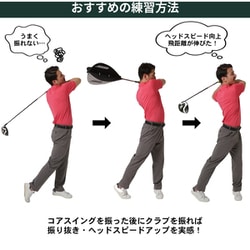 ヨドバシ.com - タバタ Tabata 藤田コアスイング GV-0233