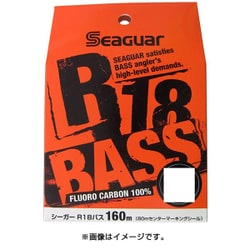 223363 [シーガー R18 BASS 160m 7lb]