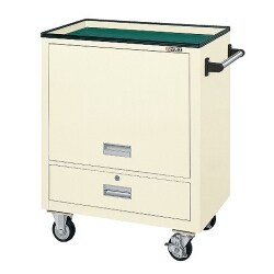 SS-A3NI [エスエスワゴン 700×450×880mm 完成品]
