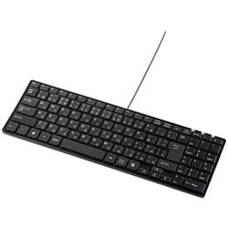 キーボード 有線 USB A USBキーボード テンキーあり 静音キーボード USB接続 日本語配列 メンブレン Windows コンパクト ブラック SKB-SL19BK