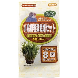 小鳥用若葉栽培セット 8回分 [鳥用餌・おやつ]