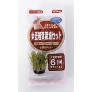 うさちゃん用 大麦若葉栽培セット 6回分 [小動物用フード・おやつ]