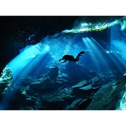 オリンパス 魚眼レンズ8mm F1.8 PRO マイクロフォーサーズ ヨドバシ.com - オリンパス OLYMPUS M.ZUIKO DIGITAL ED 8mm F1